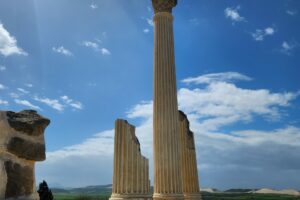 20260327_115800 20260327_115800